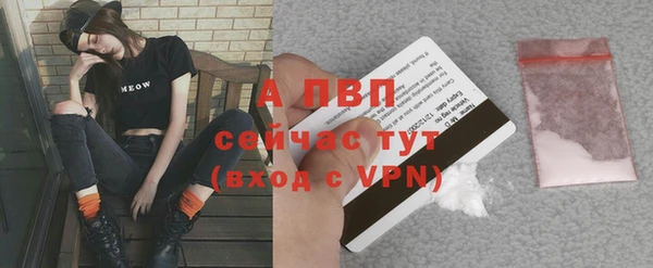 шишки Беломорск