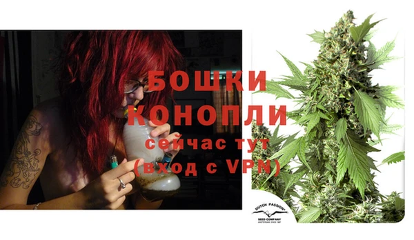 шишки Беломорск