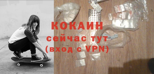 шишки Беломорск