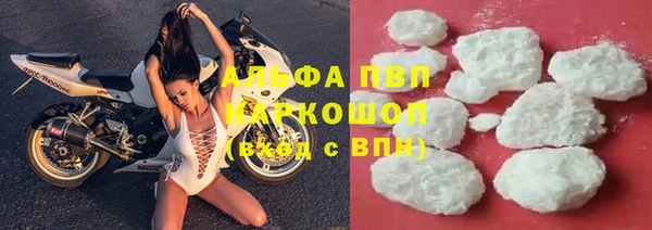 шишки Беломорск
