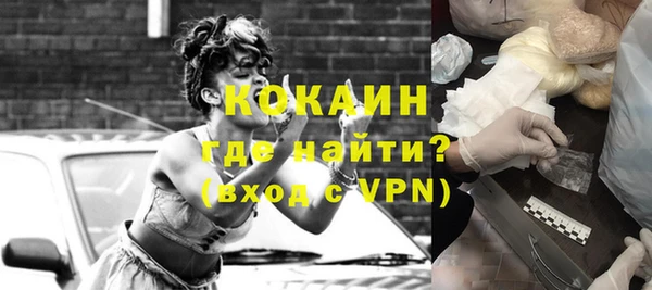 шишки Беломорск