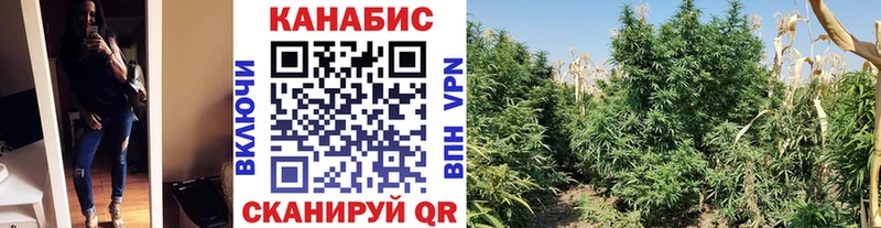 это клад  Горняк  Каннабис SATIVA & INDICA 